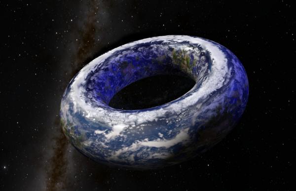 Torus 세계