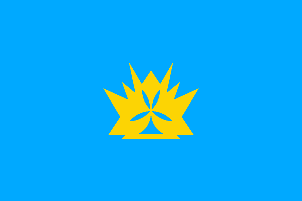 코로나 국기