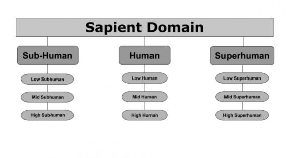 Sapient 영역