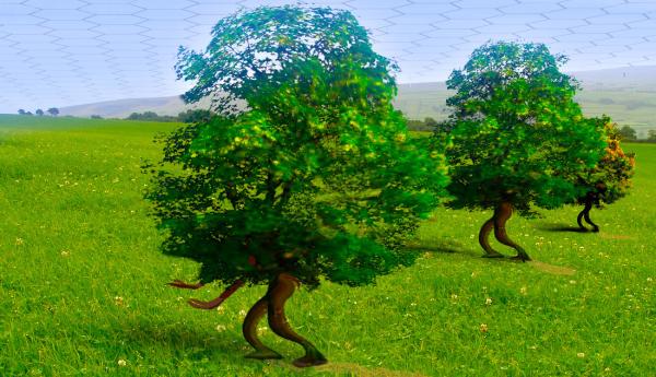 Phytotopia의 걷는 나무들